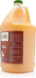 Green Groom Ginger Orange Aromatherapy Calming Dog Shampoo, 1 Gallon | 32:1 Concentrate, Essential Oils Calm and Relieve Tension, Coconut Oil, Boosts Volume, Pet Grooming Wash, Groomer Grade