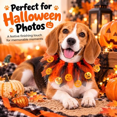 Pet Halloween Dog Clothes,Dinosaur Costume for Dogs,Purple,S - Image 2