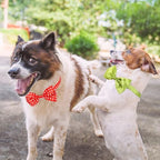 Segarty Dog Bowties - 80 Pack Adjustable Bow Ties for Small to Large Pets - Assorted Grooming Accessories for Birthdays, Weddings, Parties & Holidays - Image 5
