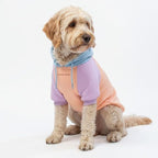 Spark Paws Dog Hoodie – Premium Dog Sweater for Small, Medium, and Large Dogs | Warm Outfits for French Bulldogs, Pitbull, Puppy, Winter Jacket Alternative - Cotton Candy - 2XL