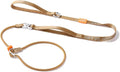 HowGo Slip Lead Dog Leash, 360°Swivel Anti-Tangle (Brown 5.5FT) | Traffic Handles Heavy-Duty Training Fur Stuck Free,Lightweight Aluminum Nylon,No-Pull Walking,All Breeds, Dog Trainer