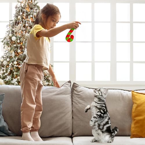 MALLMALL6 2Pcs Christmas Candy Cane Catnip Toys Gift for Cat, Indoor Cat Chew Bite Kick Plush Catmint Pet Toys Supplies for Cat Lover Gifts, Cute Interactive Cat Toy with for Pet Presents - Image 6
