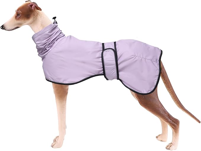 Greyhound Whippet Raincoat Waterproof with Reflective Stripe high Neck fit for Italian Greyhounds Whippets Long Back Breeds - Purple - L