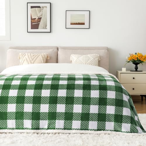 Touchat Sherpa Plaid Twin Blanket 60" X 70", Fuzzy Fluffy Soft Cozy Throw Blanket, Twin Size Plush Fleece Flannel Plush Microfiber Blanket for Couch Bed Sofa (GreenWhite) - Image 4