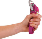 Ruffwear, Flagline Dog Leash, Lightweight Hands‑Free 6.5 ft Lead, Adjustable Waist‑Worn or Handheld, Lockable Swivel Crux Clip, Low‑Profile Pick‑Up Bag Stash Pocket, Alpenglow Pink