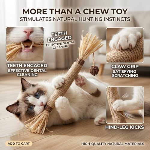 Cat Toys 3PCS Mix Catnip Chew Rope Silvervine Stick for Indoor Cat - Image 2