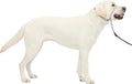 PetSafe Gentle Leader No Pull Dog Headcollar, Silver, Large | Veterinary Behaviorist-Designed No-Pull Headcollar Redirects Pulling Instinct, Padded Neoprene Nose Loop, Quick-Snap Fit