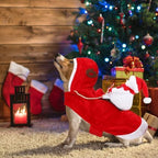 BWOGUE Santa Dog Costume, Dog Christmas Outfit, Santa Rider Costume, Size S - Image 4