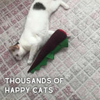 pawdaz Large Cat Toy Dino, Catnip Matatabi Silvervine Filled Help Relief Stress Interactive Indoor Cat Kicker with Bell and Smell (Purple) - Image 4