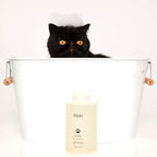OUAI Fur Bébé Pet Shampoo - Cat & Dog Shampoo for Gentle Cleansing, Hydration & Shine - Vegan & Cruelty-Free Pet Supplies with Aloe Vera & Panthenol - Mercer Street Scent (16 Fl oz)