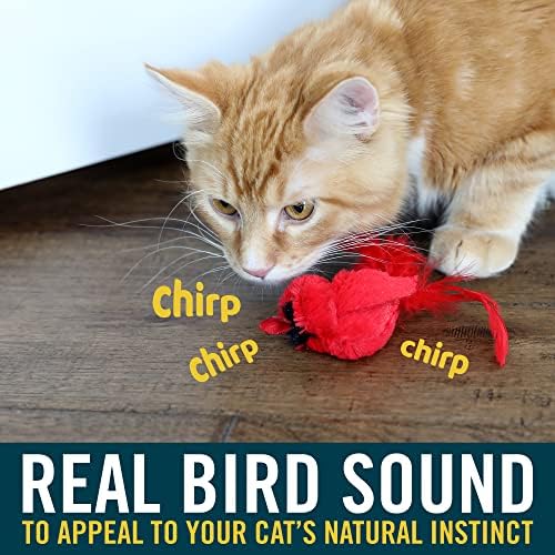 OurPets Play-N-Squeak Real Birds Interactive Cat Toys with Catnip (Cat Toys for Indoor Cats; Catnip Toy for Cats with Bird Chirping Electronic Sound and Feather) - Image 2
