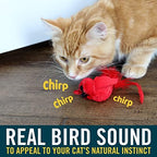 OurPets Play-N-Squeak Real Birds Interactive Cat Toys with Catnip (Cat Toys for Indoor Cats; Catnip Toy for Cats with Bird Chirping Electronic Sound and Feather) - Image 2
