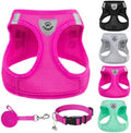 PUPTECK Dog Harness, Collar and Leash Set No Pull for Small Medium Sized by PUPTECK