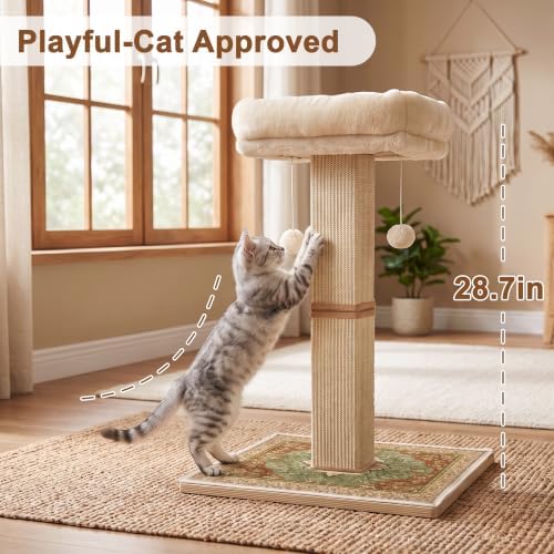 Cat Scratching Post with Bed for Indoor Adult Cats, Cat Perch,Green - Image 2