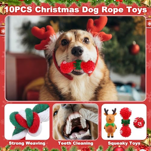 Soulchen 11 Pcs Christmas Dog Toys Stocking Gift Interactive Toy - Image 5