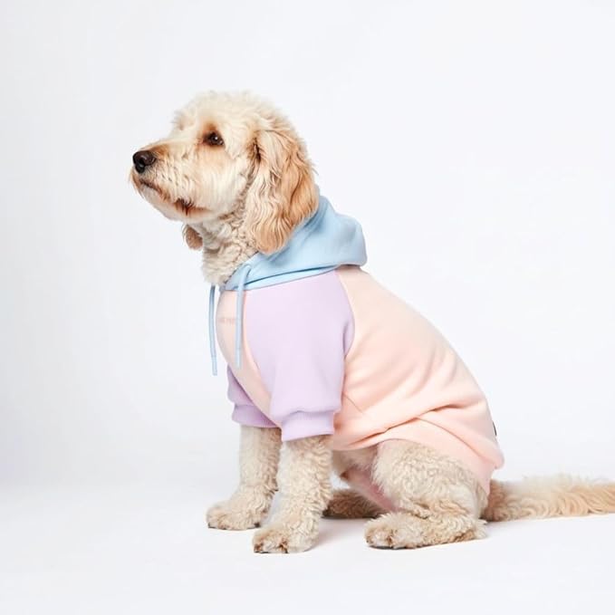 Spark Paws Dog Hoodie – Premium Dog Sweater for Small, Medium, and Large Dogs | Warm Outfits for French Bulldogs, Pitbull, Puppy, Winter Jacket Alternative - Cotton Candy - M