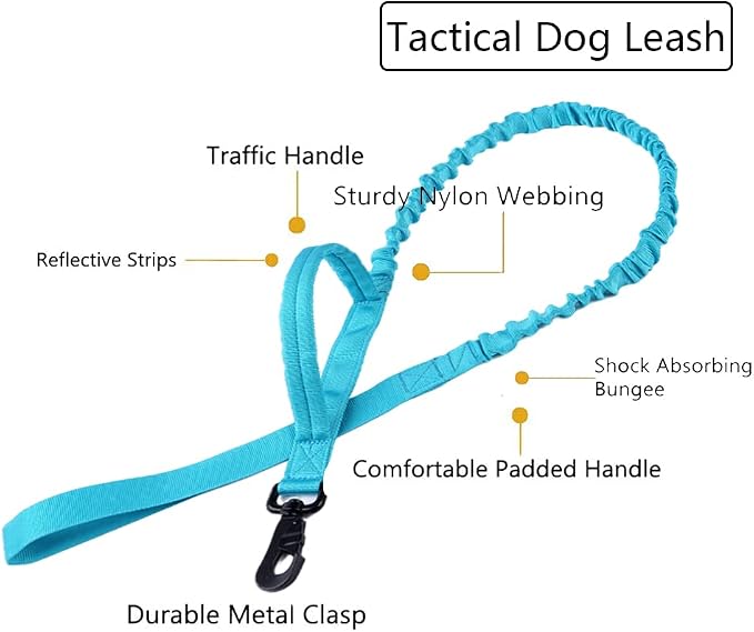 Tactical Dog Collar and Leash Set Adjustable Military Nylon Dog Collar with Control Handle and Heavy Duty Metal Buckle for Large Dogs（Blue M | 1000D Heavy-Duty Nylon Fabric,Quick-Release Metal Buckle,Adjustable Fit,Soft-Padded Webbing,D-Ring,for Traini...