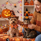 Talltalk 6 Pcs Halloween Pet Costume for Cats and Small Dogs - Image 5