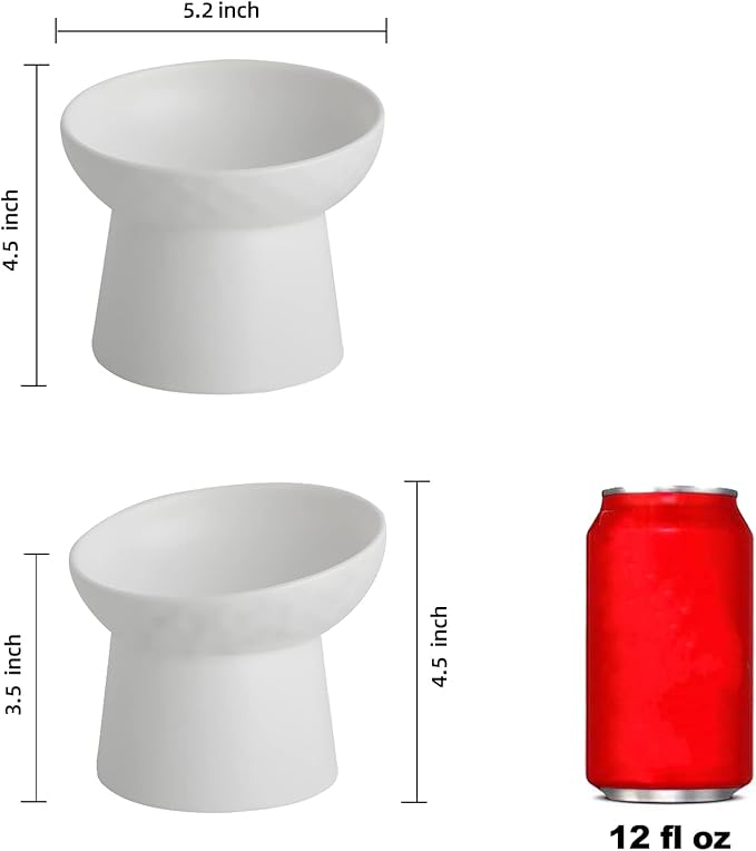 Elevated Cat Bowls, 15° Tilted Ceramic Raised Cat Food and Water Bowl Set, Whisker-Friendly Porcelain Pet Feeder Dishes for Indoor Cats and Small Dogs,White,5.2 Inch,2 Pack