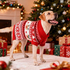 Christmas Matching Dog and Owner Outfits Sweater Clothes,Pet L - Image 5