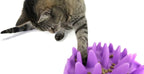 Company of Animals Catch Interactive Cat Slow Feeder | Slow Feeder Cat Bowl, Gobble Stopper, Mental Stimulation Cat Puzzle Game, Suitable for Kittens & Small, Medium & Large Cats