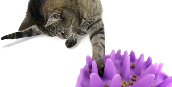 Company of Animals Catch Interactive Cat Slow Feeder | Slow Feeder Cat Bowl, Gobble Stopper, Mental Stimulation Cat Puzzle Game, Suitable for Kittens & Small, Medium & Large Cats