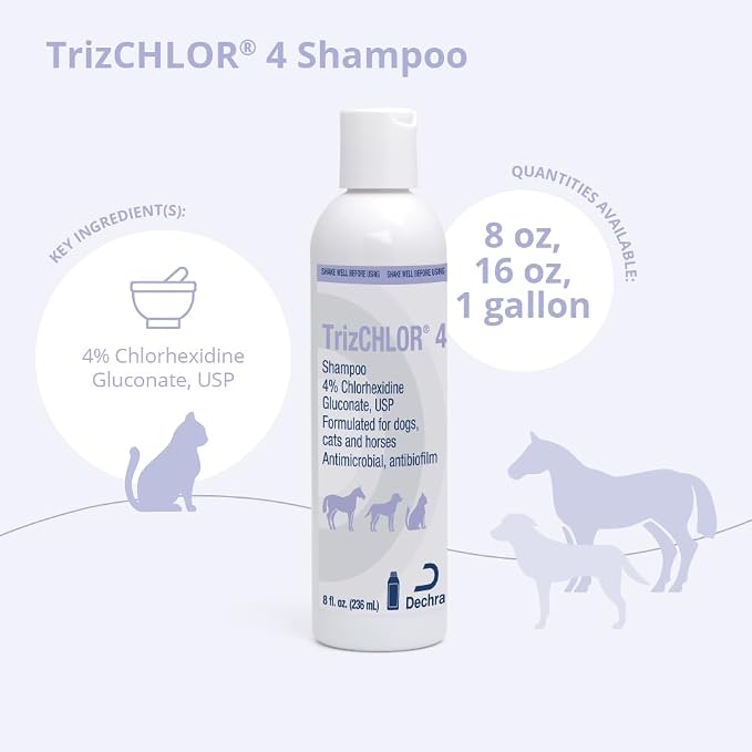 TrizCLHOR 4 Shampoo, 8 Ounce | Antibiofilm; Packaging May Vary