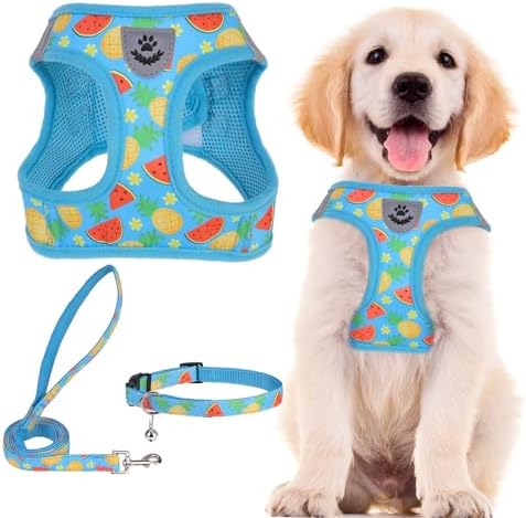 PUPTECK Dog Harness, Collar and Leash Set No Pull for Small Medium Sized by PUPTECK
