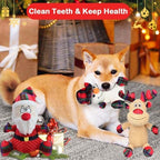 3 Pack Dog Christmas Squeak Toys, Plush Squeaky Medium & Small Dog Chew Toys, Stuffed Squeaky Toys for Dogs Puppy - Funny Cute Dog for Dog Birthday - Image 6