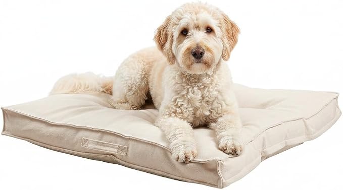 Indoor Dog Bed with Removable Washable Cover, Soft Basketweave Fabric, Reversible Cushion, Carry Handle, Baffle Construction to Help Prevent Fill Shifting, Cream - Large (40"x40")