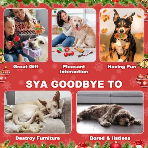 Soulchen 11 Pcs Christmas Dog Toys Stocking Gift Interactive Toy - Image 6
