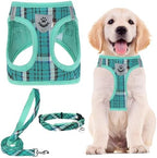 PUPTECK Dog Harness, Collar and Leash Set No Pull for Small Medium Sized by PUPTECK