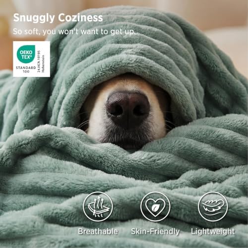 Bedsure Soft Twin XL Blanket for Bed Dorm Sage Green 66"x90" - Image 3