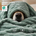 Bedsure Soft Sage Green Throw Blanket for Couch Decor Gifts 50"x60" - Image 3