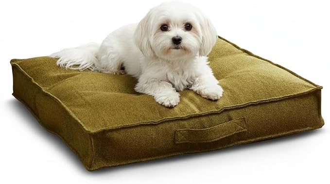 Indoor Dog Bed with Removable Washable Cover, Soft Basketweave Fabric, Reversible Cushion, Carry Handle, Baffle Construction to Help Prevent Fill Shifting, Moss - Small (24"x24")