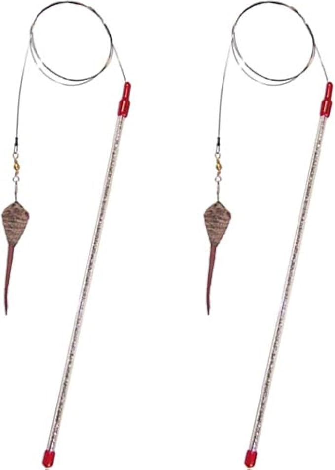 GoCat Cat Catcher Teaser Wand (2 - Pack)