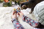 Pearhead Holiday Nutcrackers Cat Toy Set, Christmas Pet Owner Gift - Image 3