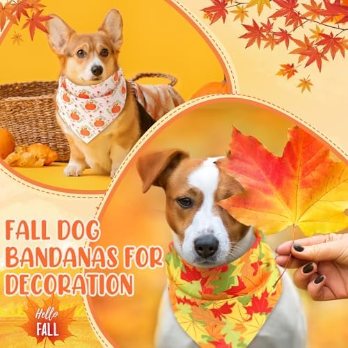Preboun 50 Pcs Fall Dog Bandanas Bulk, Autumn Pumpkin Maple Leaves Pattern - Image 6