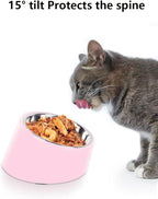 15° Tilted Dog Bowl for Flat-Faced Breeds, Ergonomic Elevated Feeder with Non-Slip Base, Anti-Choke Stainless Steel Food & Water Bowls for Small Dogs French Bulldog Pug (S, Pink)
