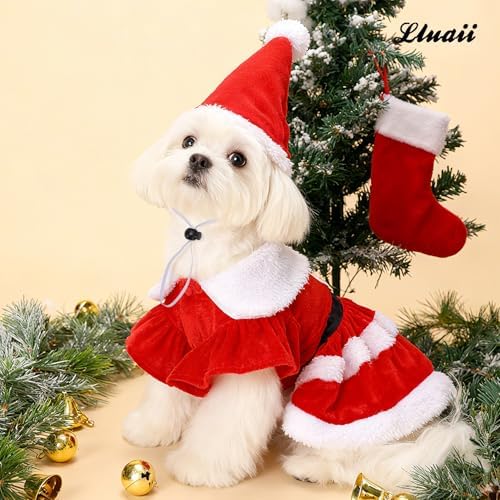 Dog Christmas Dress – Red Velvet Santa Claus Outfit with Christmas Hat for Small Dogs & Cats (5-38 lbs), Perfect Holiday Costume for Pets - Image 6