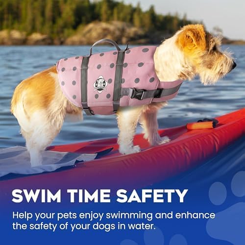Dog Life Jacket — Premium Swim Vest with SafeChin Anti-Choke Collar | PAWS Aboard Pink | RapidLift Rescue Handle, D-Ring, Reflective Trim | Boating, Kayaking, Pool | Small (15–25 lbs)