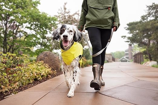 Goldpaw Rainpaw Waterproof Dog Raincoat - Durable Dog Rain Jacket for Small Dogs - Easy to Wear, Adjustable, Premium Pet Outerwear - Made in The USA - Machine Washable - Black Bean - Size 10