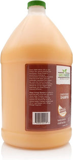 Green Groom Ginger Orange Aromatherapy Calming Dog Shampoo, 1 Gallon | 32:1 Concentrate, Essential Oils Calm and Relieve Tension, Coconut Oil, Boosts Volume, Pet Grooming Wash, Groomer Grade