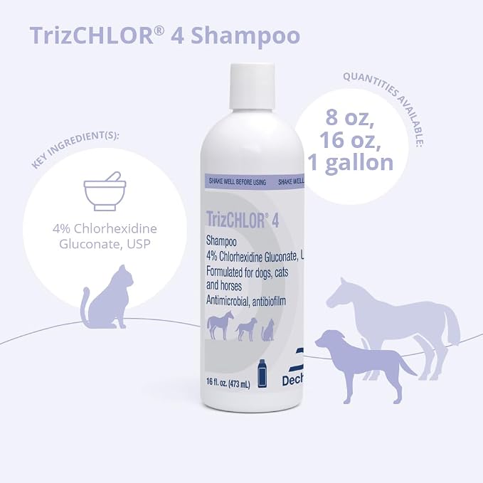 4 Shampoo for Dogs, Cats and Horses, 16 Ounce | Antibiofilm; Packaging May Vary