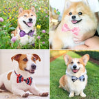 Segarty Dog Bowties - 80 Pack Adjustable Bow Ties for Small to Large Pets - Assorted Grooming Accessories for Birthdays, Weddings, Parties & Holidays - Image 6