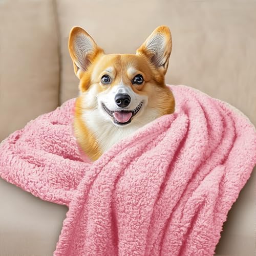 Luciphia 3 Pack Soft Sherpa Fleece Blankets for Dogs Cats Puppies,41"x31" - Image 3