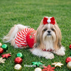 Fitwarm Candy Cane Cutie Dog Tiered Dress, Christmas Outfit for Small Dogs Girl, Funny Holiday Pet Clothes, Red, White, Green, XXS - Image 4