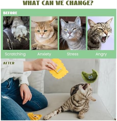 Pawsible 3 Pack Ravioli Catnip Toys for Indoor Cats, Interactive Cat Toys Filled with 100% Organic Catnip, Plush Chew Toys for Kittens, Teething Soft Catnip Toys for Cats - Image 4