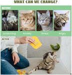 Pawsible 3 Pack Ravioli Catnip Toys for Indoor Cats, Interactive Cat Toys Filled with 100% Organic Catnip, Plush Chew Toys for Kittens, Teething Soft Catnip Toys for Cats - Image 4