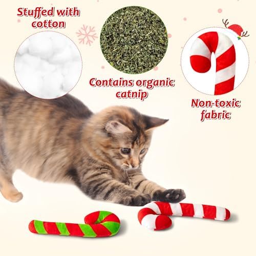 MALLMALL6 2Pcs Christmas Candy Cane Catnip Toys Gift for Cat, Indoor Cat Chew Bite Kick Plush Catmint Pet Toys Supplies for Cat Lover Gifts, Cute Interactive Cat Toy with for Pet Presents - Image 3
